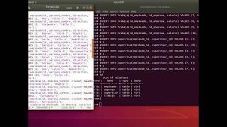 Testing PostgreSQL (CREATE TABLE, INSERT, QUERIES)