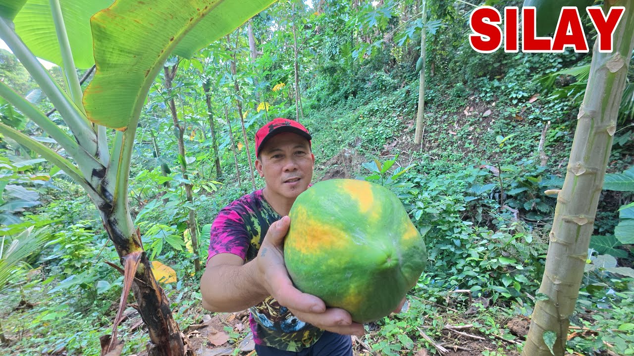 SAGANA NA SA TANIM ANG ATING FARM | Biyaherong Batangueno