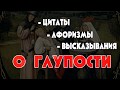 О Глупости - цитаты, афоризмы