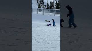 IMG 5213