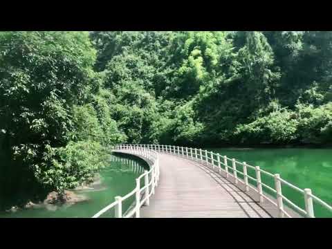 Amazing Floating Bridge in China, Driving cars on the lake 【Tik Tok China】