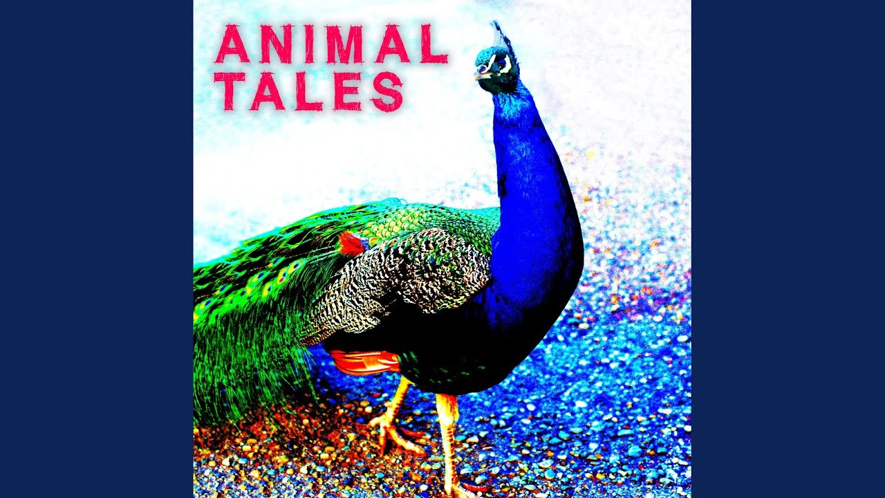 Watch Night Stalk on YouTube Watch Night Stalk on YouTube