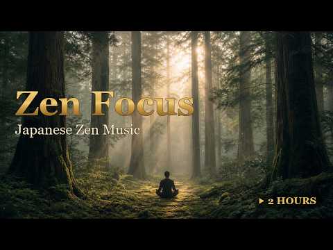 Japanese Zen Music for Meditation & Focus 🌲 Misty Cedar Forest | Calm Morning (2 Hours)
