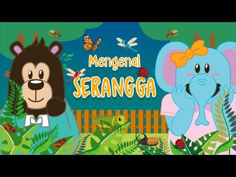 Video: Serangga Bermanfaat Di Taman. Bagaimana Cara Menarik Serangga? Daftar, Deskripsi, Jenis, Foto