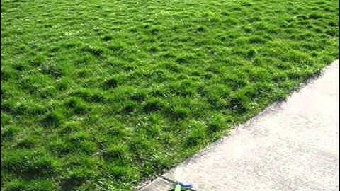 BLADE 130X Test After Deox-IT on Tail Servo - Failure