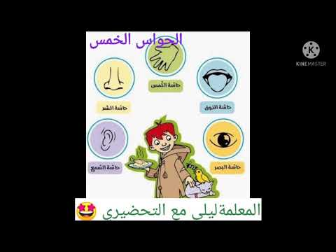 انشودة الحواس الخمس قسم التحضيري Classe Préparatoire