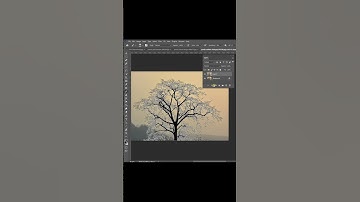 Selection of a tree using color range #shorts #photoshop #photography #editing