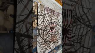 spider #cards #art #timholtz #photography #textureplate #distressink #13hour