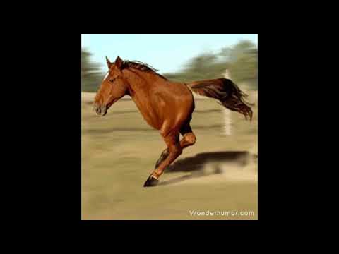 2jyr - A PATHETIC PARODY ON POLYPHIA