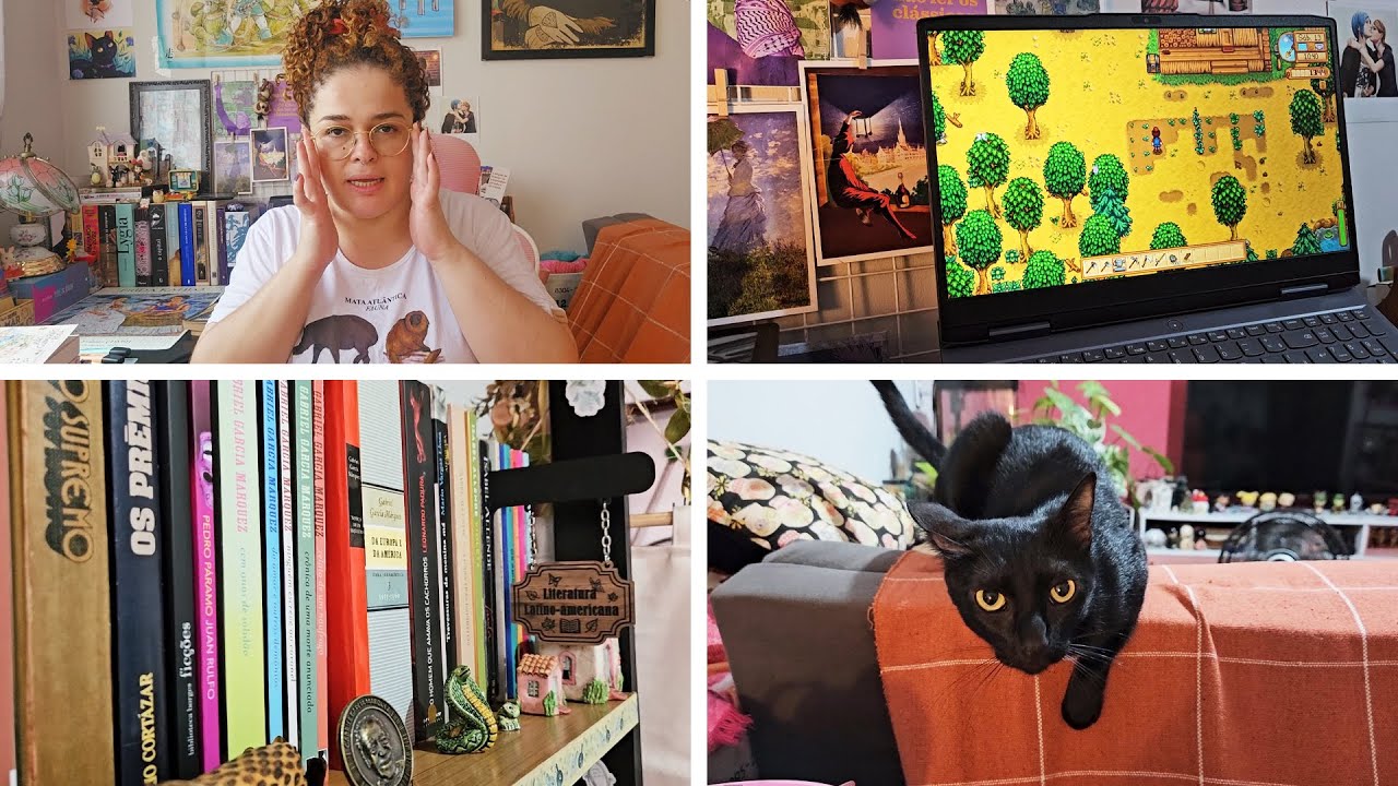 vlog de rotina *cinema, games, gatinho e organização da estante*