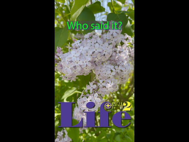 Who Said it? Grandmothers and Lilacs