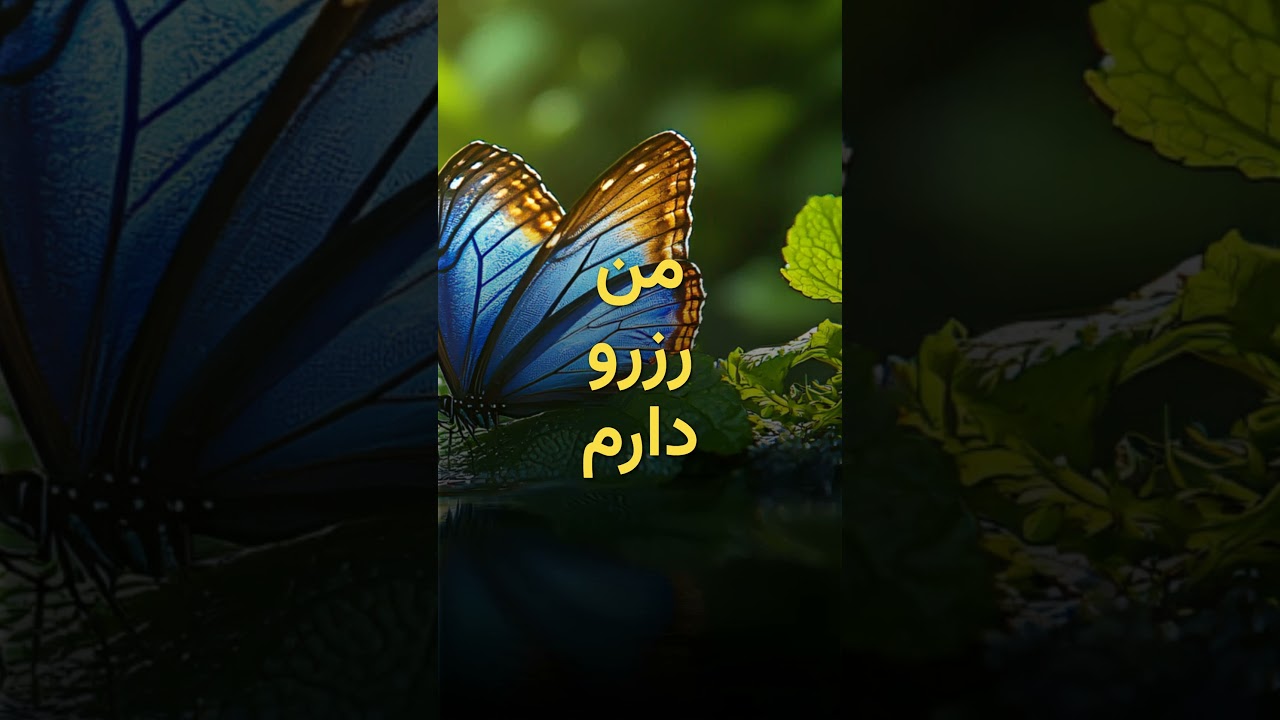 🌍 Daily Trilingual Sentence – English | German | Persian output row 2 1