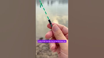 Combo 10 Bộ Trục Nâu Câu Cá Tàn Hình Buộc Sẵn #cauca #fishing #fishinglife