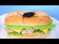 ROACH ON SANDWICH