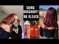 DYING MY NATURAL HAIR BURGUNDY SAFE & EASY | NO BLEACH
