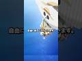 ワンピースの戦闘力論争キャラクター