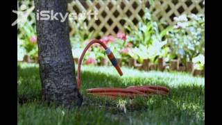 Hose - The Charming Story Of A Garden Hose That Lives Next Door To Us In Brooklyn