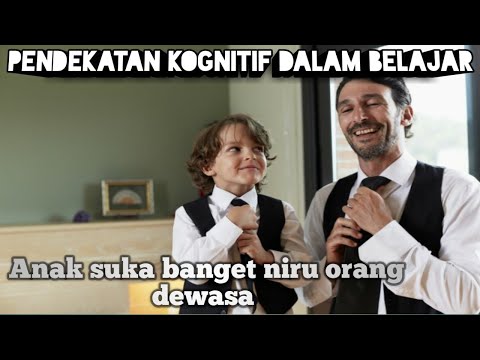 Video: Memulai: Pendekatan Kognitif