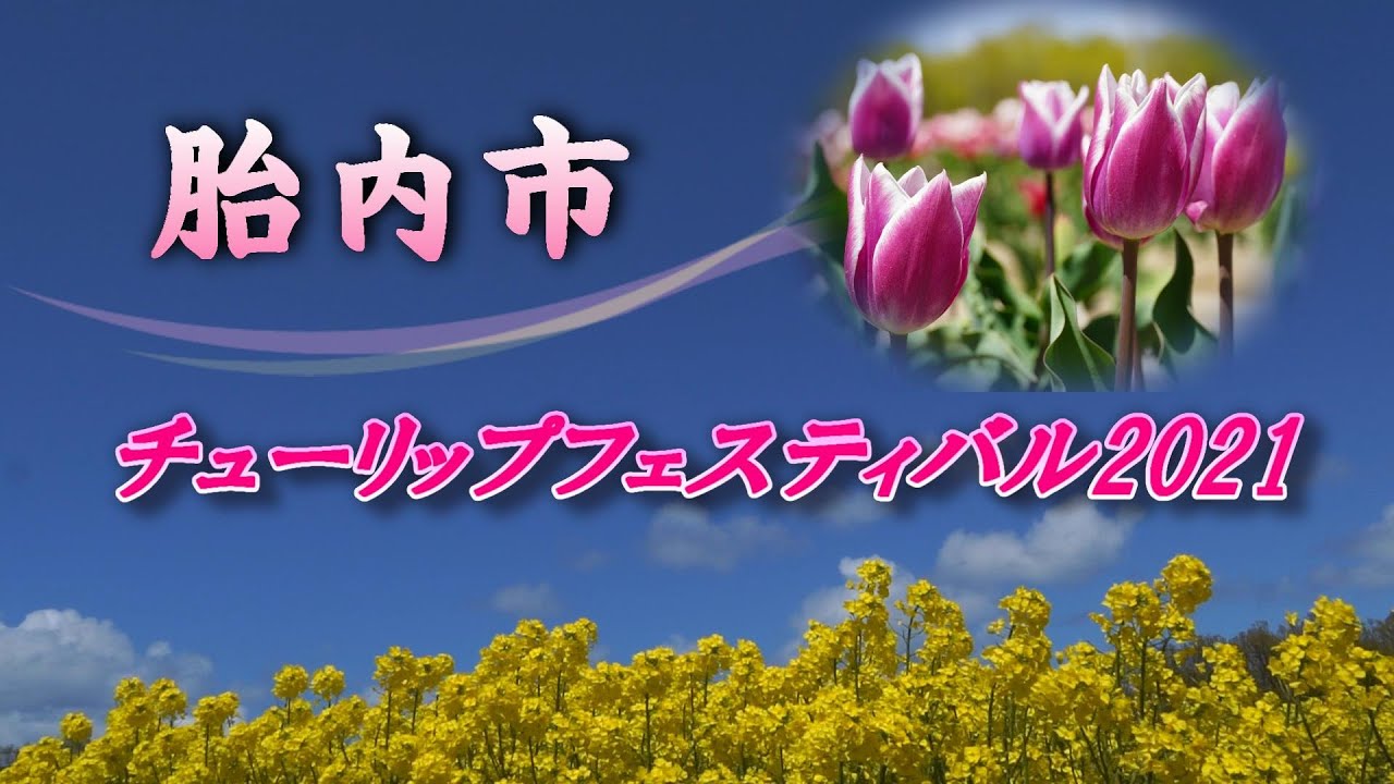 胎内市チューリップフェスティバル 21 Youtube 胎内市チューリップフェスティバル 21 Youtube