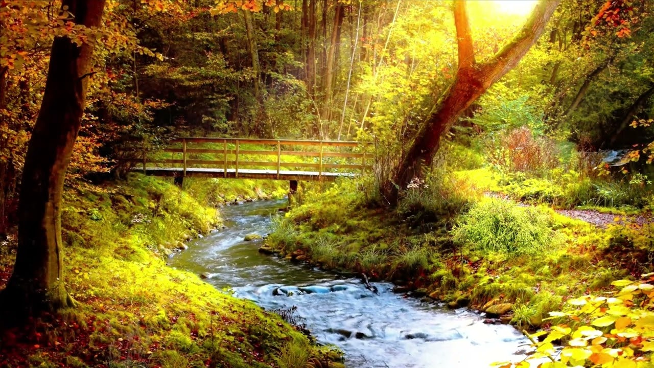 VEDRI - Do You Remember Me ( Cafe Del Mar )