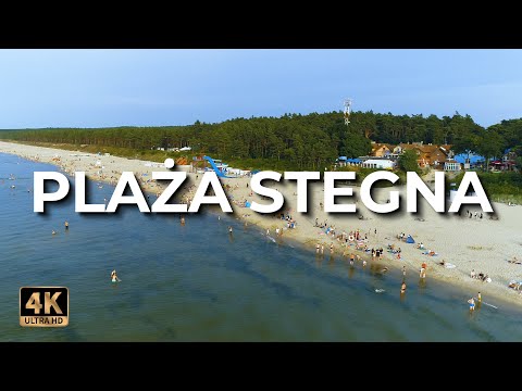 Stegna z drona