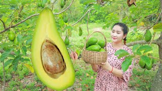 CREAMY Avocado Fruit in Cambodia | Harvest Avocado and make fresh dessert | Sros Yummy Cooking Vlogs
