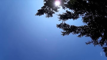 DJI Phantom 3 got stuck at the treetop.