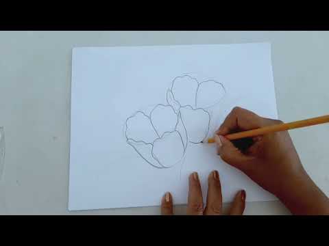 Como Dibujar Flores Fácil / Tulipanes