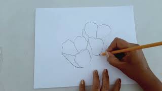 How to Draw Flowers Easily / Tulips