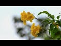 命あたえて***字義版