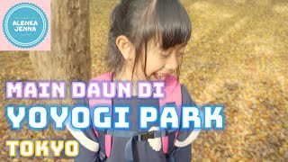 Bermain daun di Yoyogi Park - Tokyo