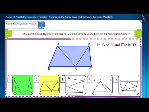 Figures on the same base and between the same parallels | Part 2/2 | English | Class 9