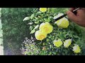 水彩画制作過程.34(庭先のバラを描く)ムッチーWATERCOLOR PROCESS-34