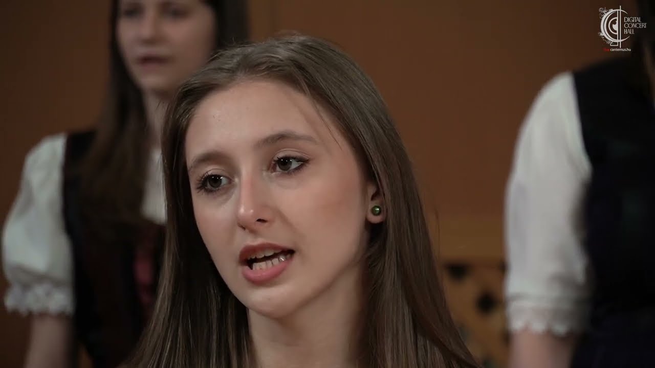 Petrovics Emil: Hull a bodza