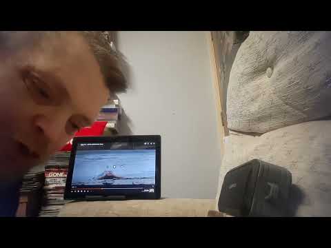 lolli wren - build a sea #reaction #lolliwren