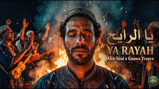 يا رايح | Ya Rayah -  (Afro Soul x Gnawa Trance)