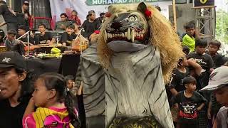 Kiprahe Singo Barong Ganas Langgeng Budoyo Terbaru Live Krengseng 211125