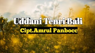 Lagu Bugis Terbaru 2022 | Uddani Tenri Bali | Lirik Lagu Nur Mai Sella