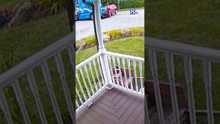 SUV ran stop sign before Pennsylvania crash state police say