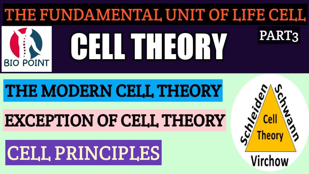 CELL THE FUNDAMENTAL UNIT OF LIFE CELL THEORY MODERN CELL THEORY