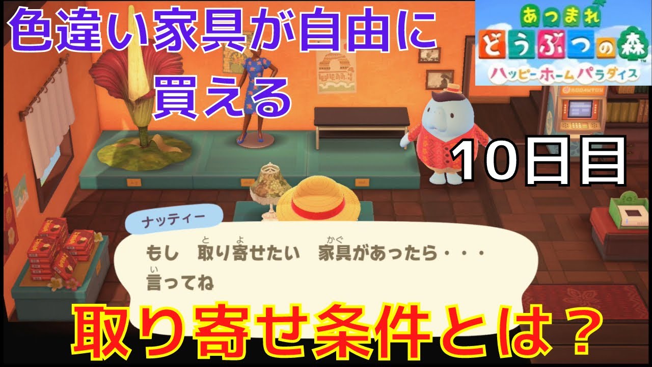 専用　なってぃさん あつ森】ナッティーの出現条件とできること【ハピパラ】｜ゲームエイト