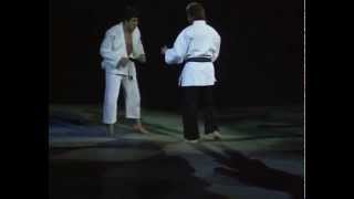 Budo Gála Békéscsaba 2011