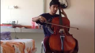 Ellie Goulding- Love Me Like You Do Cello Cover