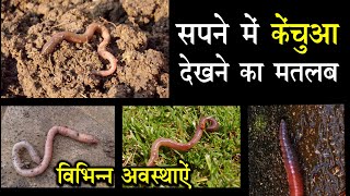 सपन म कचआ दखन Seeing Earthworm In Dream Earthworm Ka Sapna Dekhna Kaisa Hota Hai