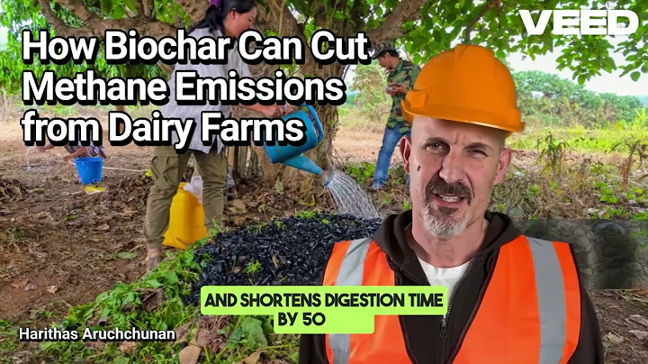 How Biochar Can Cut Methane Emissions from Dairy Farms