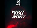 What yuh want  joe  2024 chutney soca