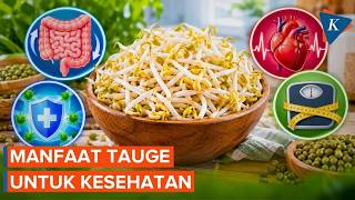 What Are the Health Benefits of Bean Sprouts?