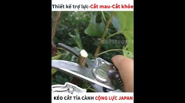 KÉO CẮT TỈA CÀNH CỘNG LỰC JAPAN