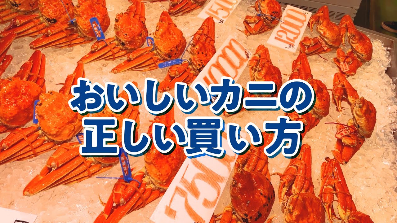 【公式】カニの正しい買い方