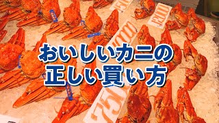 【公式】カニの正しい買い方